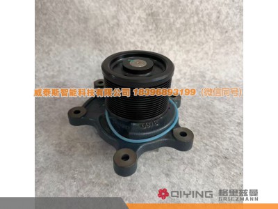 1000173871,水泵头 15PK  1000173871,威泰斯智能科技（山东）有限公司