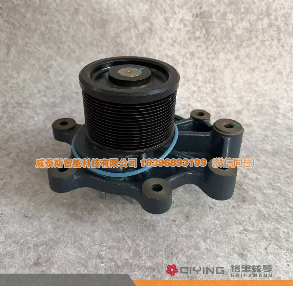水泵头 15PK  1000173871 车型P13 威泰斯智能科技图2