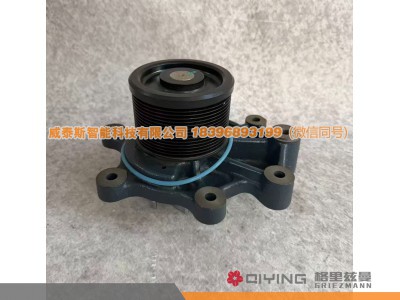 1000173871,水泵头 15PK  1000173871,威泰斯智能科技（山东）有限公司
