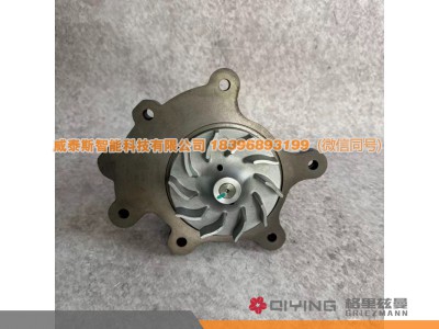 1000173871,水泵头 15PK  1000173871,威泰斯智能科技（山东）有限公司