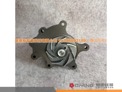612630061073,612630061073水泵头  10PK,威泰斯智能科技（山东）有限公司