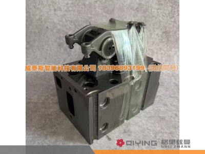 1002315422,气缸盖总成   1002315422  车型  P10四气门大泵,威泰斯智能科技（山东）有限公司