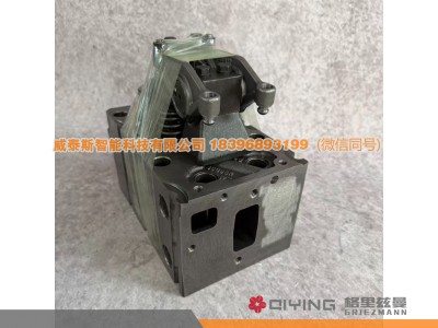 1002315422,气缸盖总成   1002315422  车型  P10四气门大泵,威泰斯智能科技（山东）有限公司