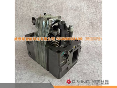 1005544823,气缸盖总成  1005544823   2-5缸,威泰斯智能科技（山东）有限公司