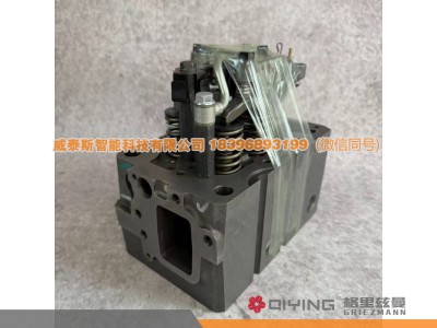 1005544823,气缸盖总成  1005544823   2-5缸,威泰斯智能科技（山东）有限公司