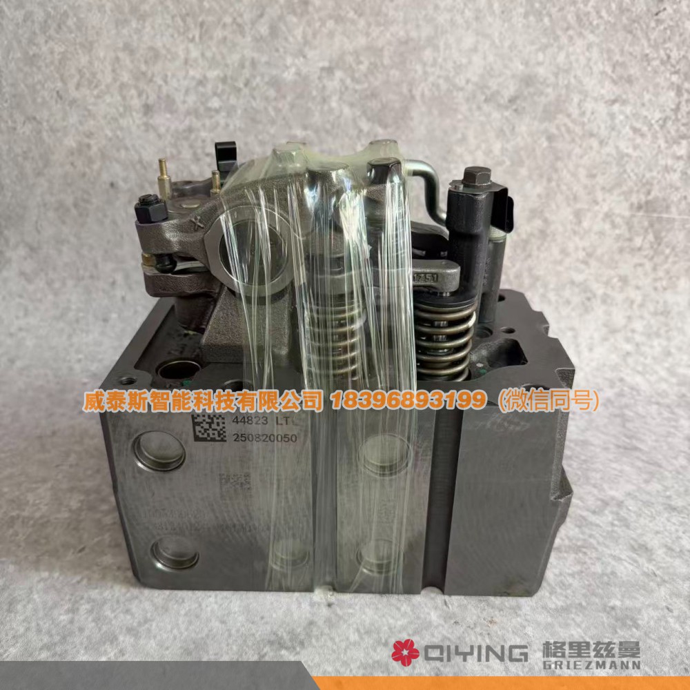 气缸盖总成  1005544823   2-5缸 威泰斯智能科技图3