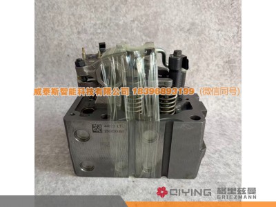 1005544823,气缸盖总成  1005544823   2-5缸,威泰斯智能科技（山东）有限公司