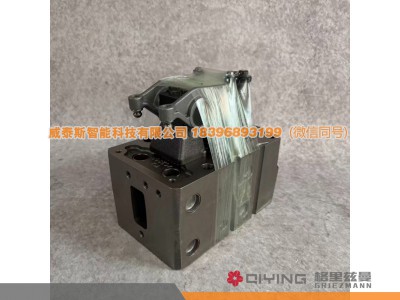 10046886210,气缸盖总成  10046886210   P13,威泰斯智能科技（山东）有限公司