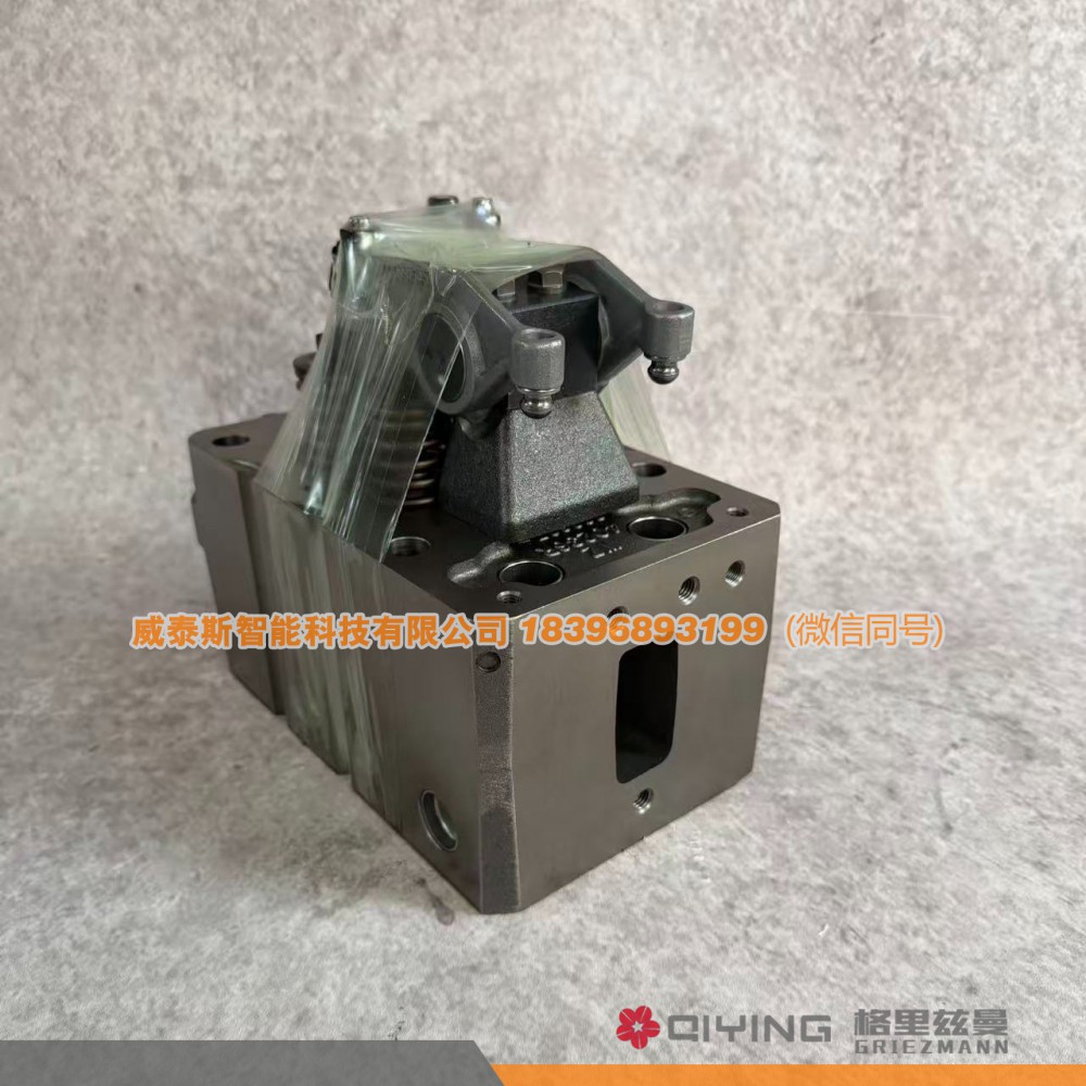 气缸盖总成  10046886210   P13 威泰斯智能科技图3