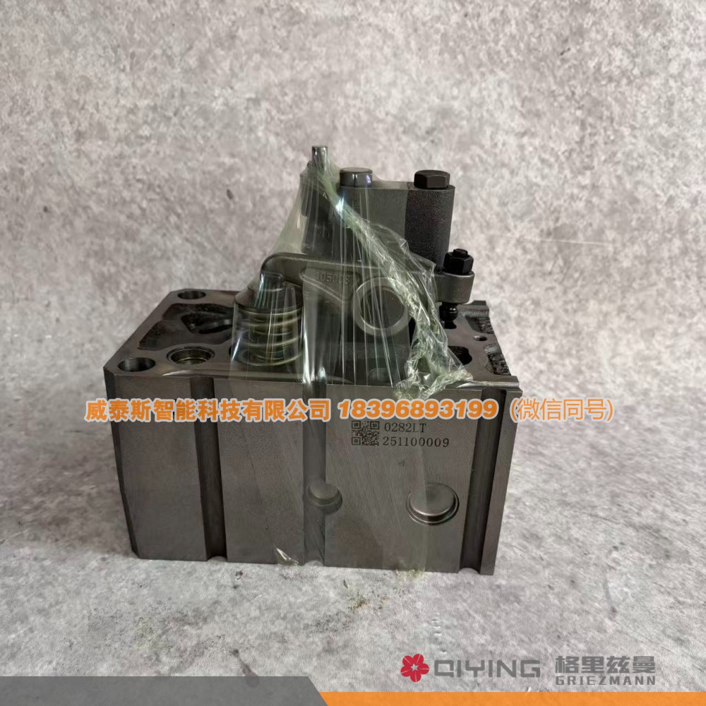 气缸盖总成   612600040282 车型 EVBP10  威泰斯智能科技图1