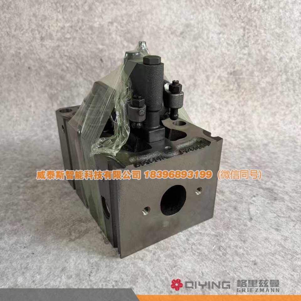 气缸盖总成   612600040282 车型 EVBP10  威泰斯智能科技图2