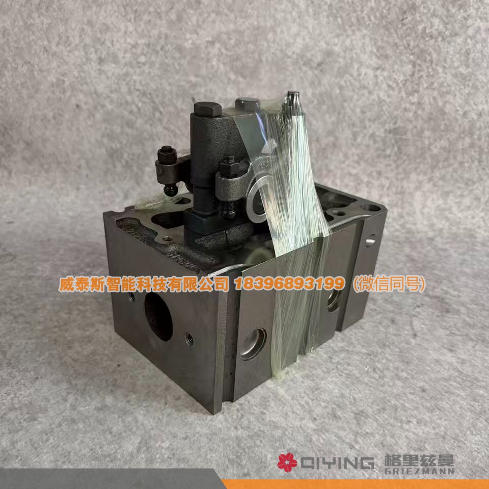 气缸盖总成   612600040282 车型 EVBP10  威泰斯智能科技图3