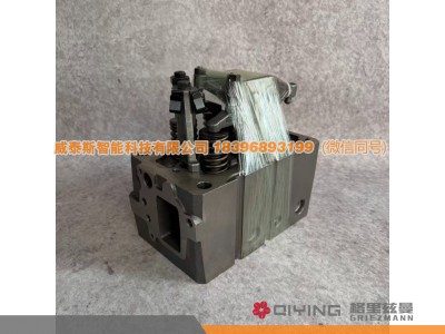 612630040001,气缸盖总成  612630040001,威泰斯智能科技（山东）有限公司