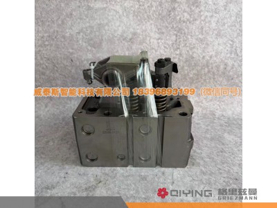 612630040001,气缸盖总成  612630040001,威泰斯智能科技（山东）有限公司