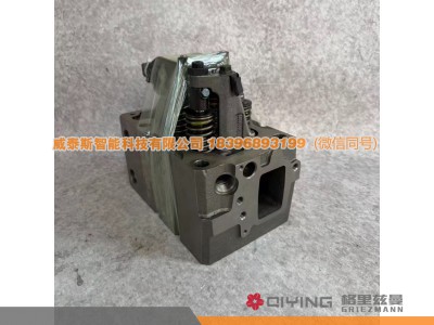612630040001,气缸盖总成  612630040001,威泰斯智能科技（山东）有限公司