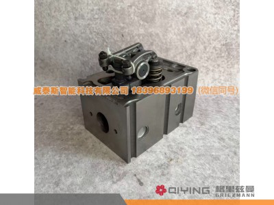 615600040058,气缸盖总成  615600040058,威泰斯智能科技（山东）有限公司