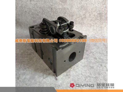 615600040058,气缸盖总成  615600040058,威泰斯智能科技（山东）有限公司