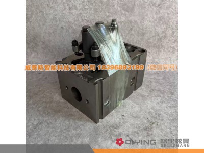 VG1095040068,气缸盖总成  VG1095040068,威泰斯智能科技（山东）有限公司
