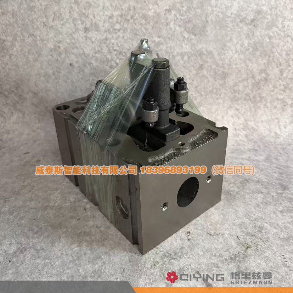 气缸盖总成  VG1095040068 威泰斯智能科技图2