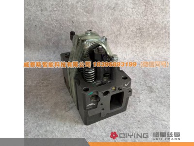 1006330620,气缸盖总成1006330620  1-3-4-6缸,威泰斯智能科技（山东）有限公司
