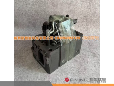1006330620,气缸盖总成1006330620  1-3-4-6缸,威泰斯智能科技（山东）有限公司