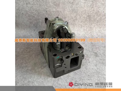 1006330620,气缸盖总成1006330620  1-3-4-6缸,威泰斯智能科技（山东）有限公司