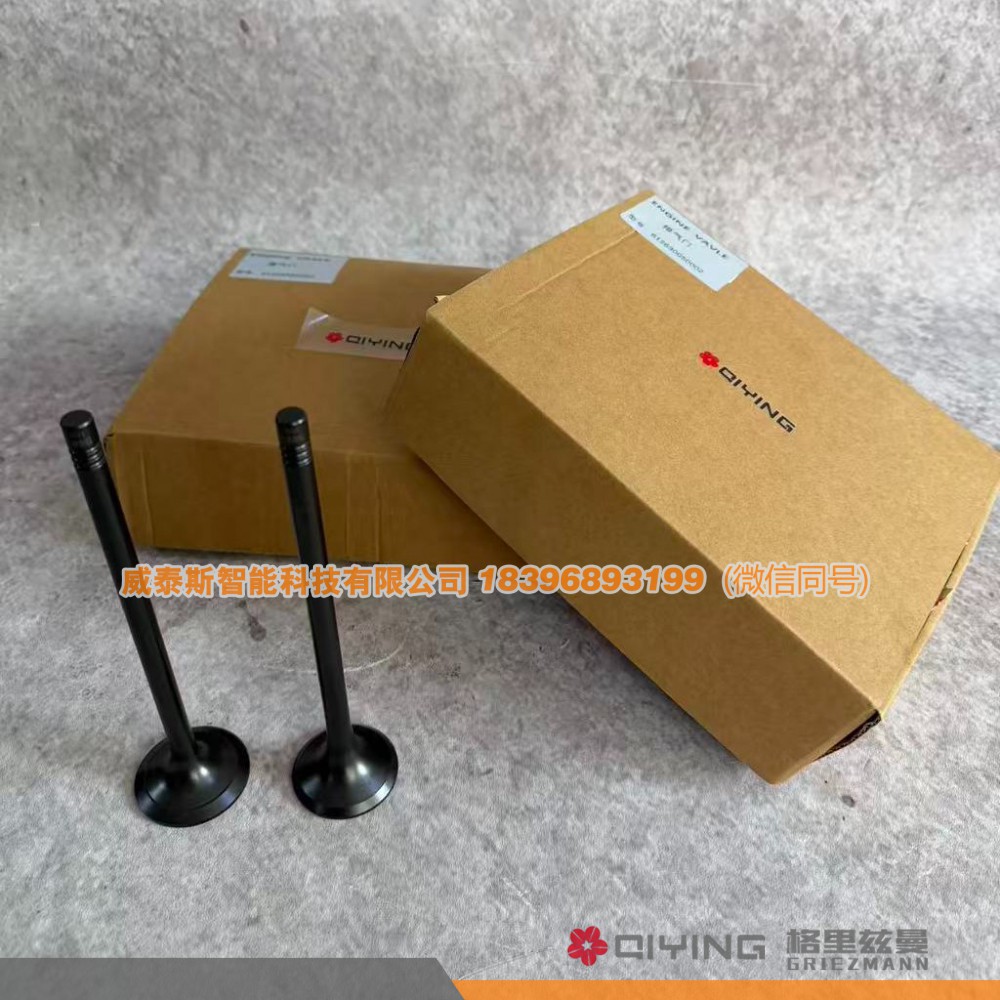 612630050002,气门   车型  P12   612630050002  612630050001,威泰斯智能科技（山东）有限公司