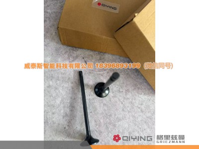612630050002,气门   车型  P12   612630050002  612630050001,威泰斯智能科技（山东）有限公司