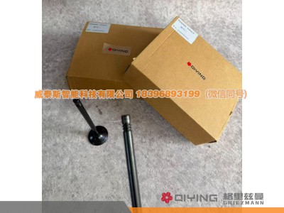 612630050002,气门   车型  P12   612630050002  612630050001,威泰斯智能科技（山东）有限公司