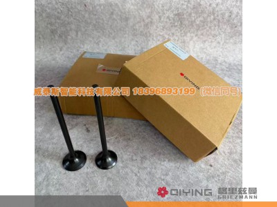 612630050001,气门   车型  P12   612630050002  612630050001,威泰斯智能科技（山东）有限公司
