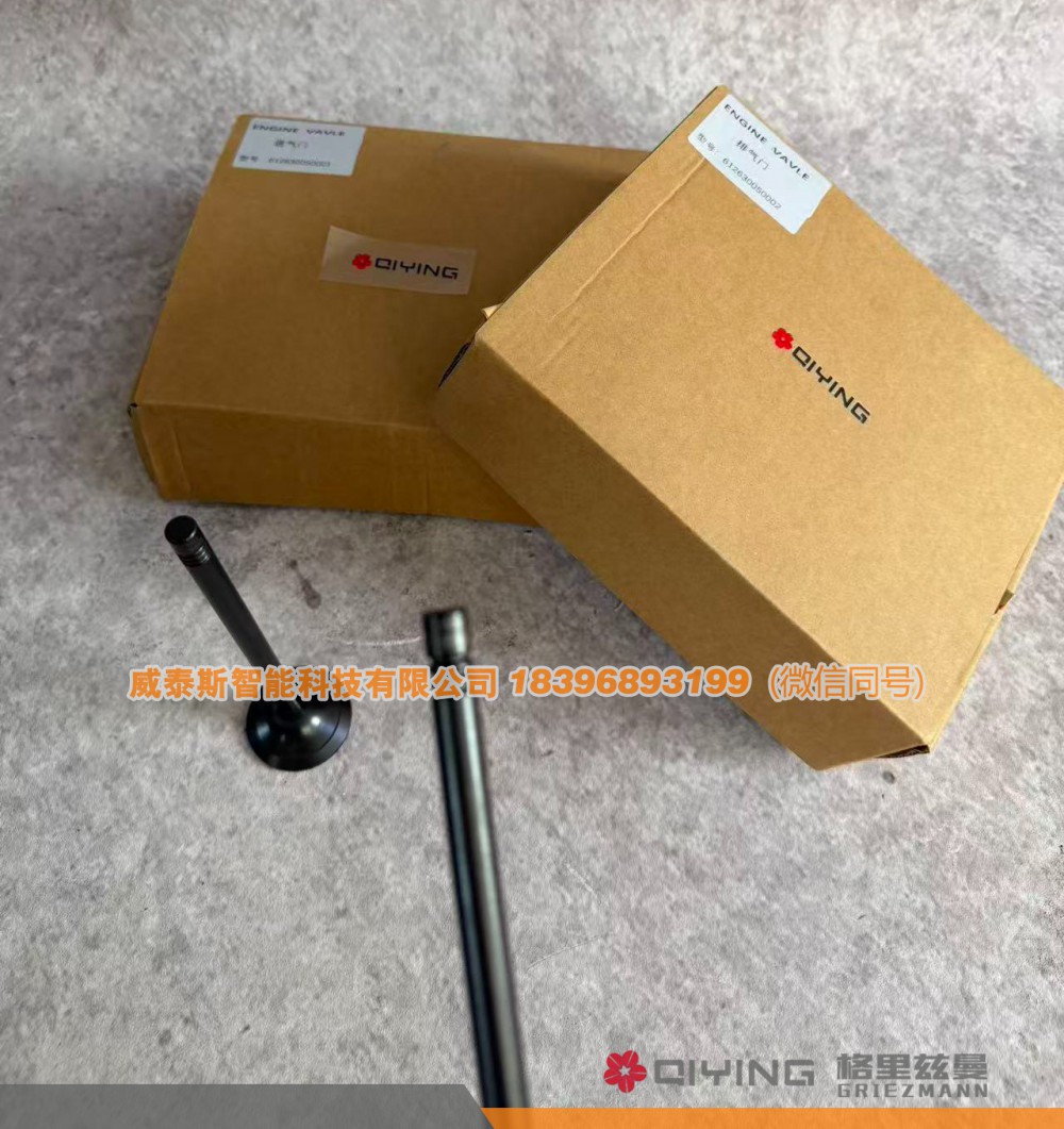 612630050001,气门   车型  P12   612630050002  612630050001,威泰斯智能科技（山东）有限公司