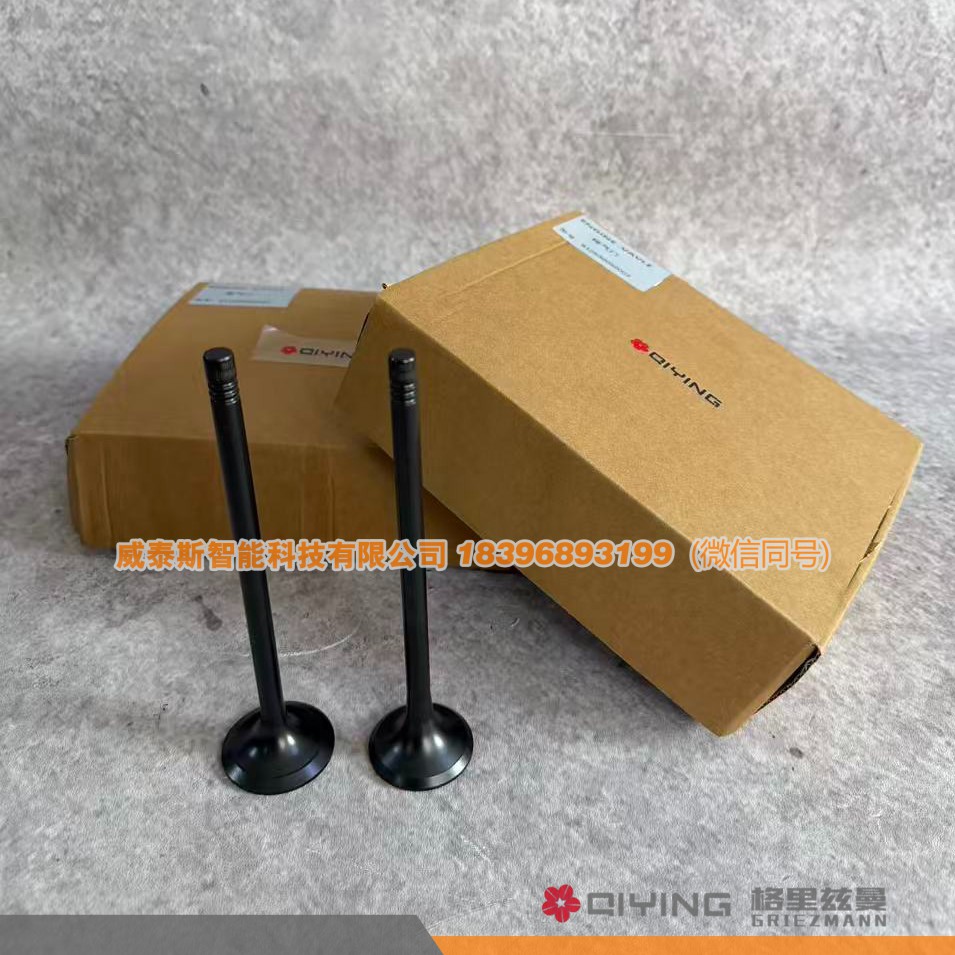 612630050001,气门   车型  P12   612630050002  612630050001,威泰斯智能科技（山东）有限公司