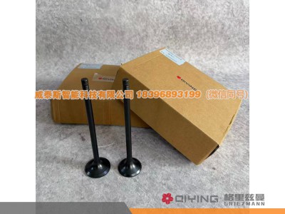 612630050001,气门   车型  P12   612630050002  612630050001,威泰斯智能科技（山东）有限公司