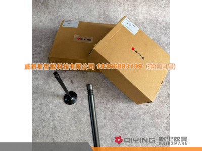 612630050001,气门   车型  P12   612630050002  612630050001,威泰斯智能科技（山东）有限公司