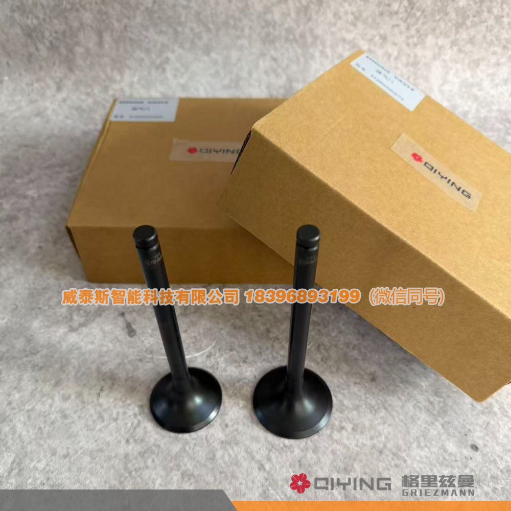 612600050025,气门    612600050025  612600050073,威泰斯智能科技（山东）有限公司