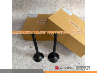 612600050025,气门    612600050025  612600050073,威泰斯智能科技（山东）有限公司