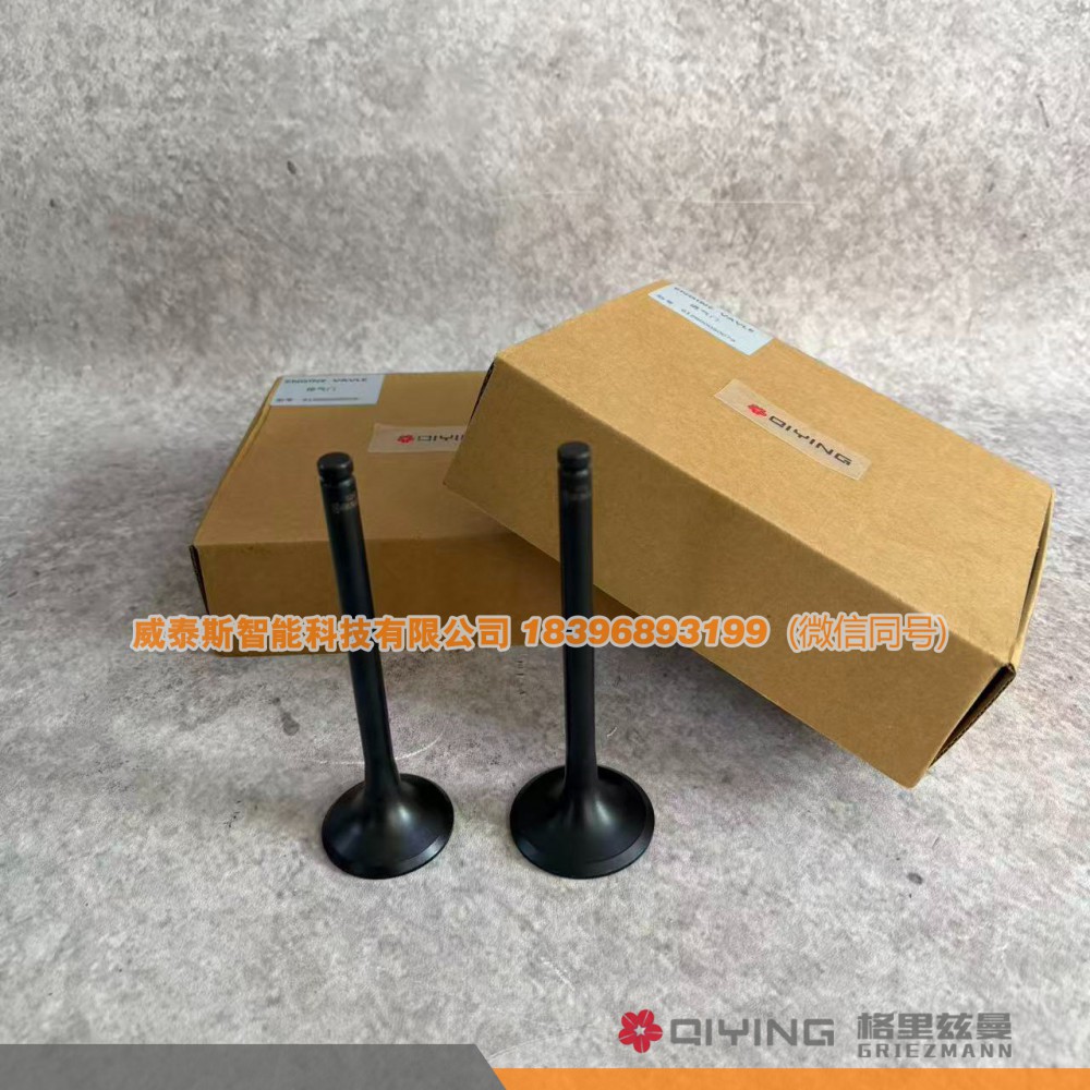 612600050025,气门    612600050025  612600050073,威泰斯智能科技（山东）有限公司