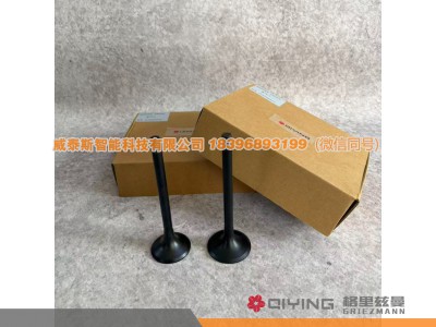 612600050025,气门    612600050025  612600050073,威泰斯智能科技（山东）有限公司