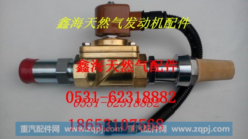 612600191730,喘振阀,济南鑫海天然气配件有限公司