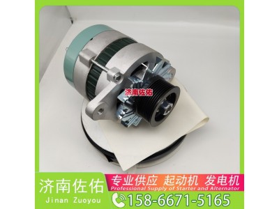 310N10153Z,,济南佐佑汽车零部件有限公司