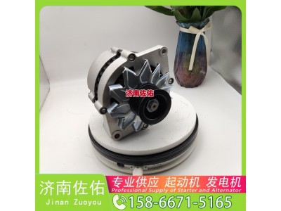 310N10153Z,,济南佐佑汽车零部件有限公司