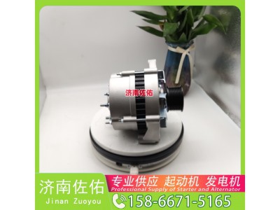 10480起动机161201010002A发电机图1
