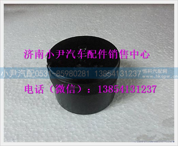 陕汽德龙加液口保护帽WG10000033