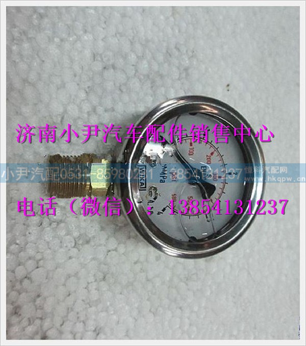 陕汽德龙径向压力表SZ955001019