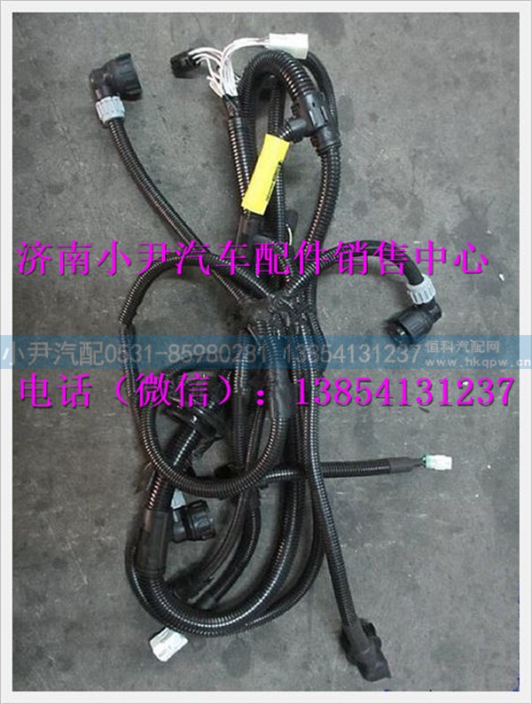 陕汽德龙F3000左前部线束DZ95189777201