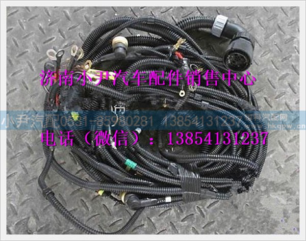 陕汽德龙M3000底盘线束SZ979000607