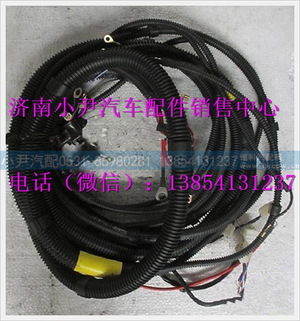 陕汽德龙奥龙发动机电线束(2KW发电机)JZ91159770002