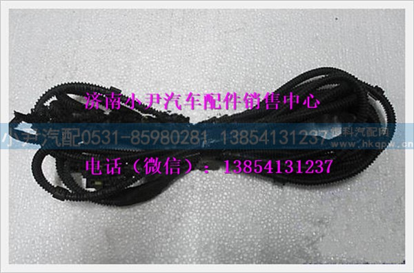 陕汽德龙盘式制动器磨损报警底盘线束DZ95189773232