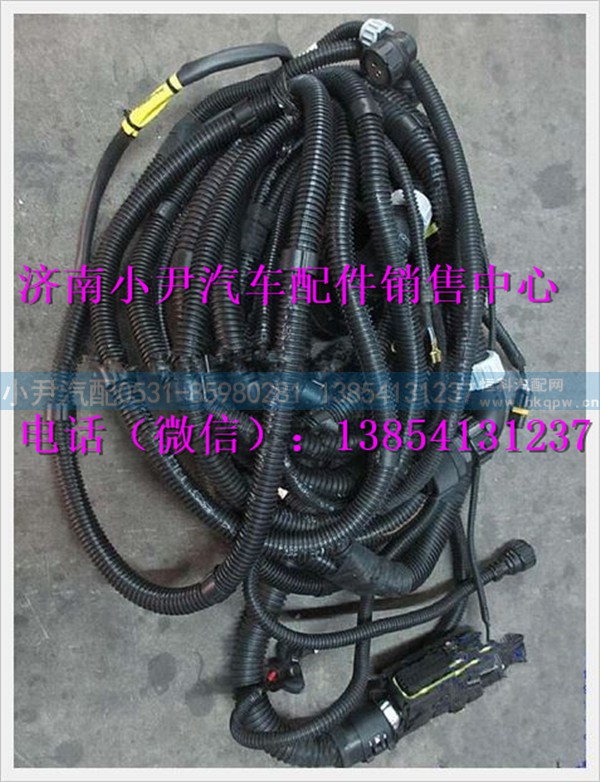 陕汽德龙奥龙发动机、变速器底盘线束DZ95319777801