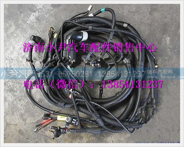 陕汽德龙发动机、变速器底盘电线束DZ95189777951